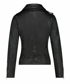 Bear Blaze Black-IBANA Online