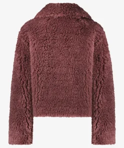 Cruz Dusty Rose-IBANA Clearance