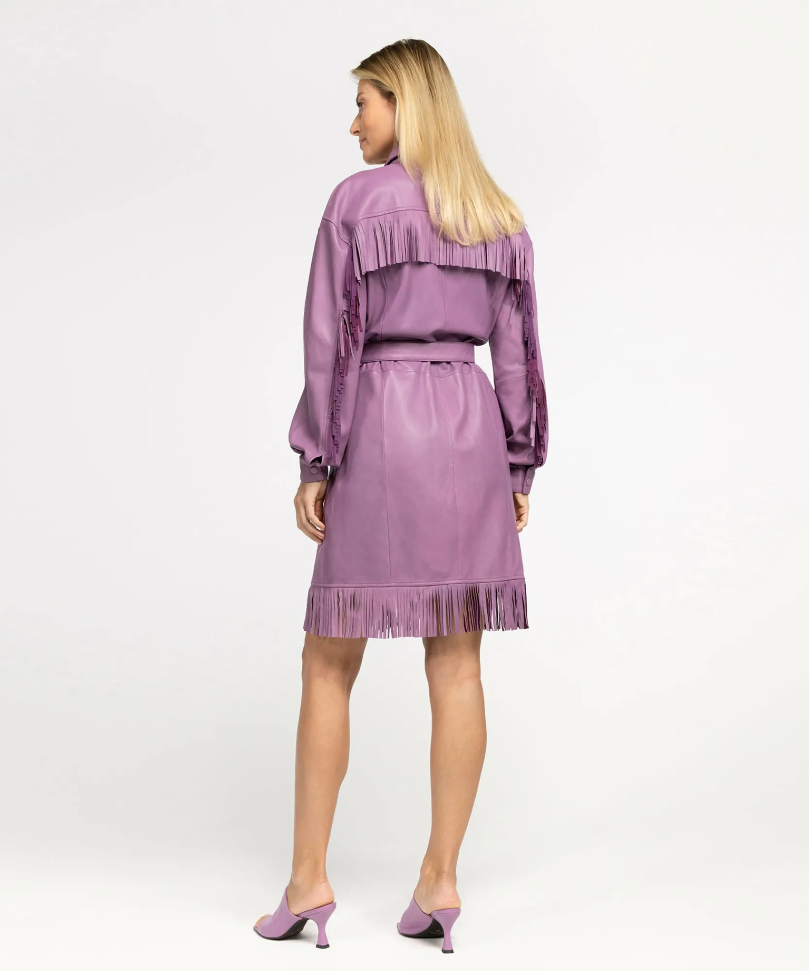 Dexter Wild Rose-IBANA Online