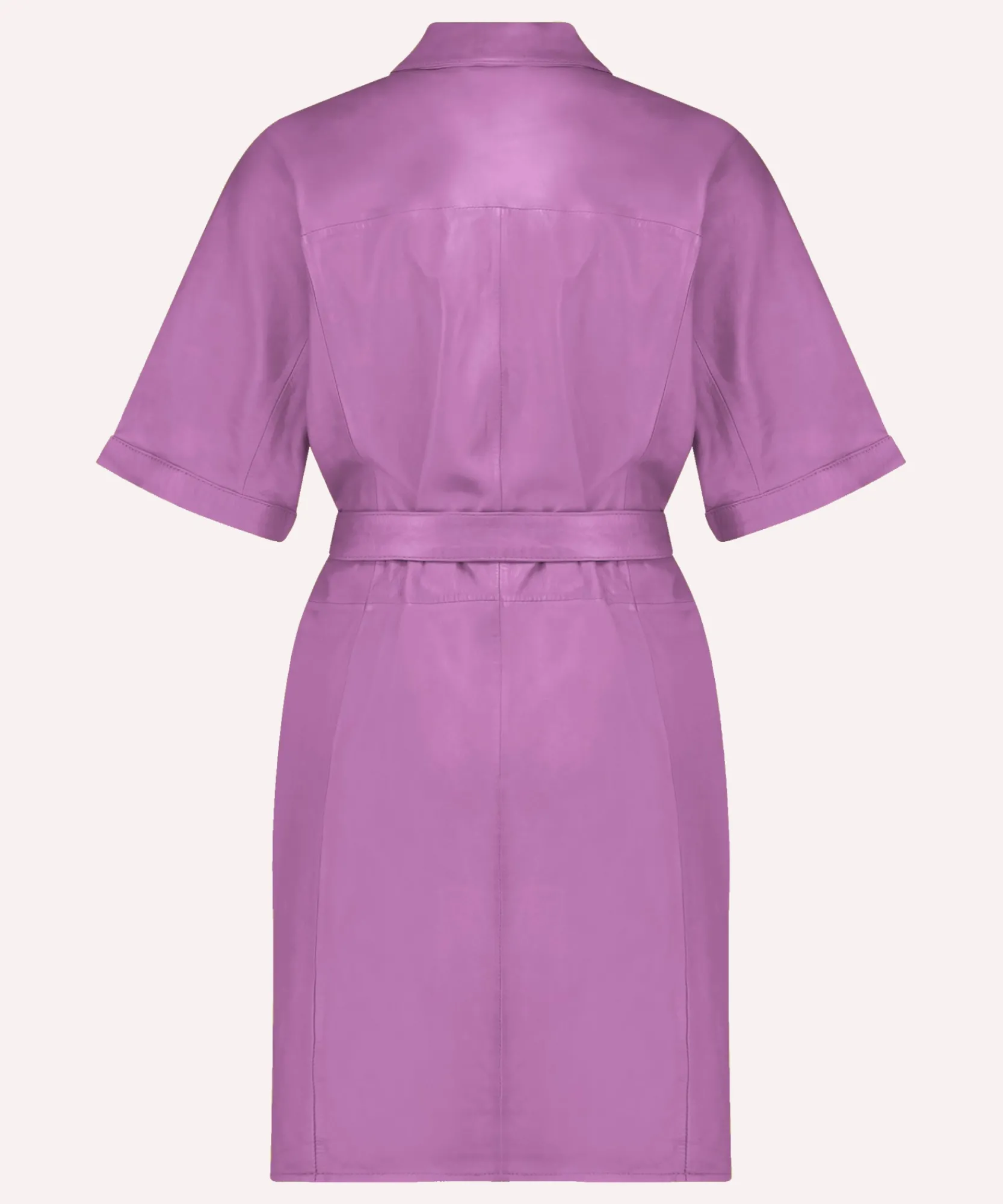 Do Wild Rose-IBANA Online